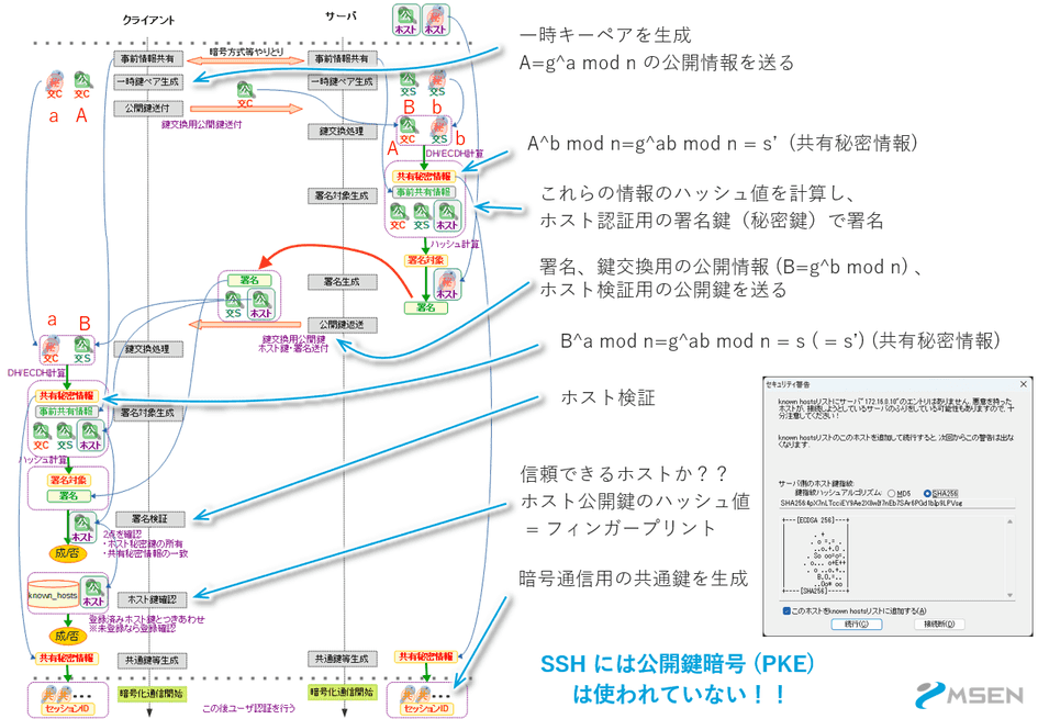SSH と各暗号技術を理解しよう | MSeeeeN