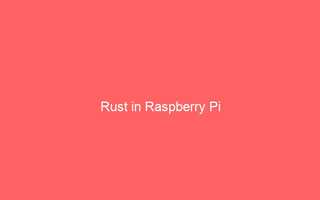 Raspberry Pi で Rust を試す (Raspberry Pi OS buster)