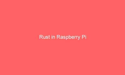 Raspberry Pi で Rust を試す (Raspberry Pi OS buster)