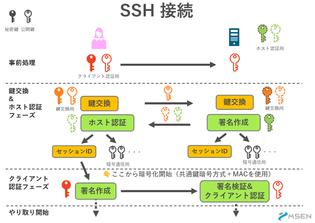 SSH 通信