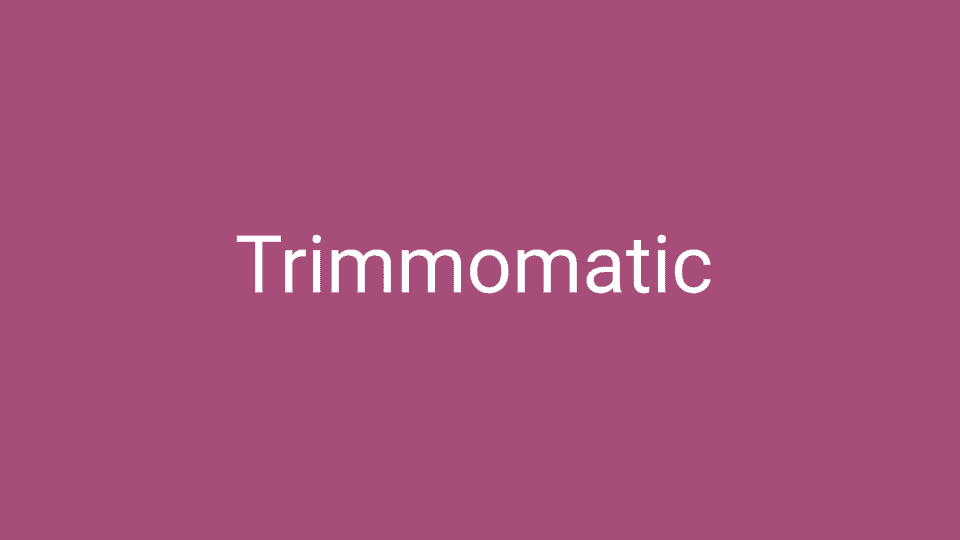 Trimmomatic 処理速度の改善方法