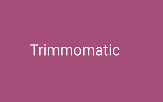 Trimmomatic 処理速度の改善方法