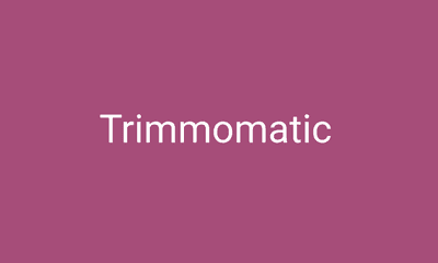 Trimmomatic 処理速度の改善方法